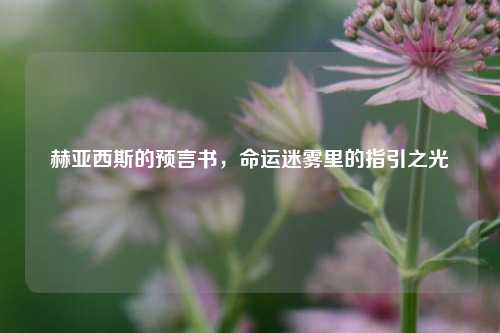 赫亚西斯的预言书,命运迷雾里的指引之光