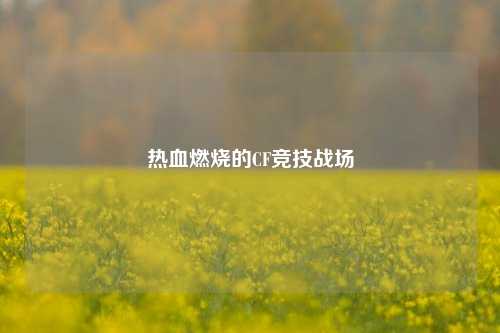 热血燃烧的CF竞技战场