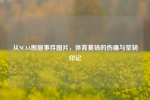 从NCAA断腿事件图片，体育赛场的伤痛与坚韧印记