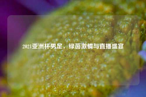 2021亚洲杯男足，绿茵激情与直播盛宴