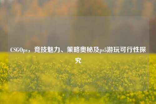 CSGOps,竞技魅力、策略奥秘及ps5游玩可行性探究