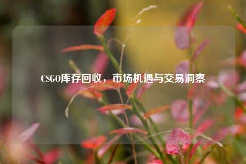 CSGO库存回收,市场机遇与交易洞察
