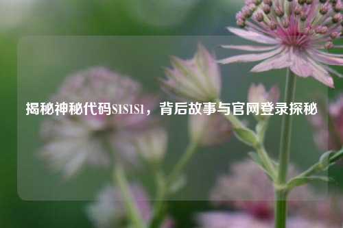 揭秘神秘代码S1S1S1，背后故事与官网登录探秘