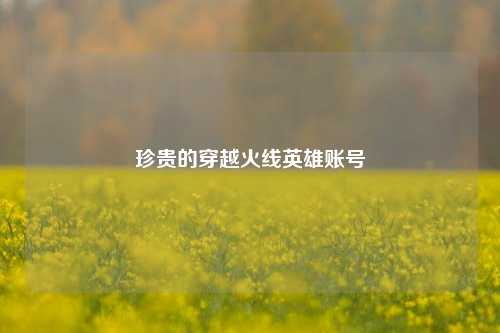 珍贵的穿越火线英雄账号