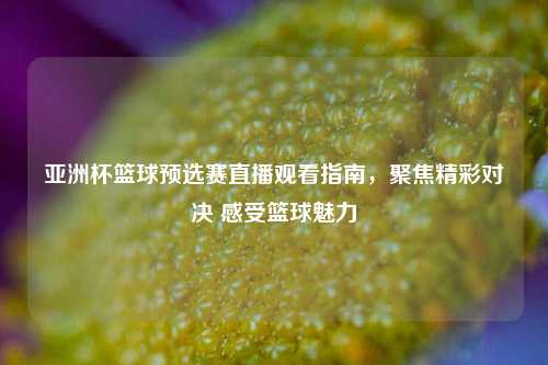 亚洲杯篮球预选赛直播观看指南,聚焦精彩对决 感受篮球魅力