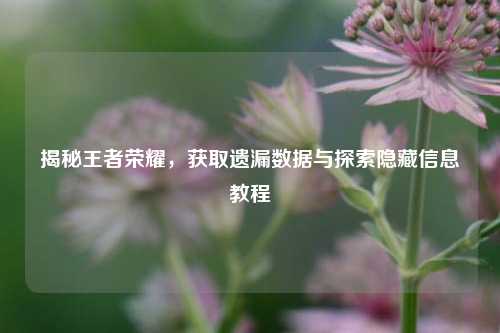 揭秘王者荣耀,获取遗漏数据与探索隐藏信息教程