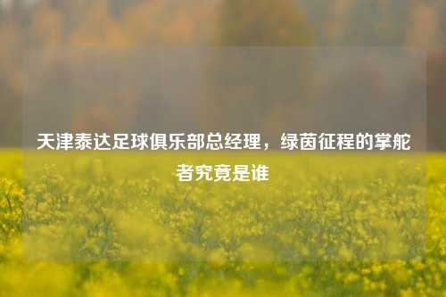 天津泰达足球俱乐部总经理,绿茵征程的掌舵者究竟是谁