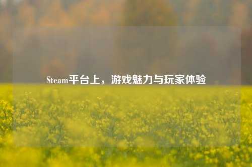 Steam平台上，游戏魅力与玩家体验