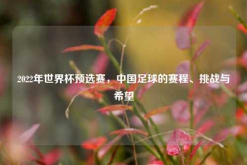 2022年世界杯预选赛，中国足球的赛程、挑战与希望