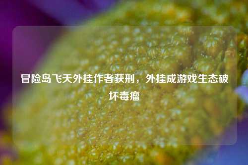 冒险岛飞天外挂作者获刑,外挂成游戏生态破坏毒瘤