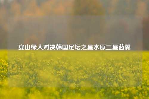 安山绿人对决韩国足坛之星水原三星蓝翼