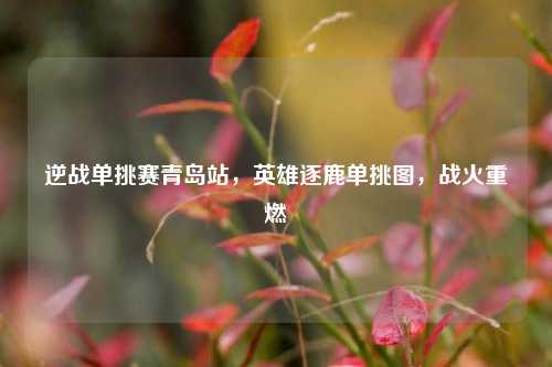逆战单挑赛青岛站,英雄逐鹿单挑图,战火重燃