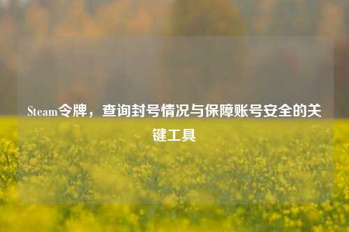 Steam令牌,查询封号情况与保障账号安全的关键工具