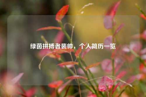 绿茵拼搏者裴帅，个人简历一览