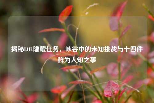 揭秘LOL隐藏任务,峡谷中的未知挑战与十四件鲜为人知之事