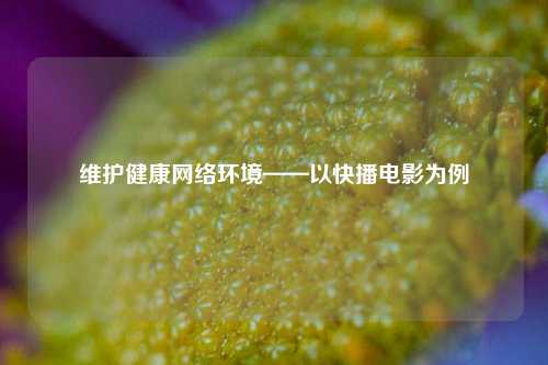 维护健康网络环境——以快播电影为例
