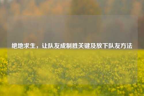 绝地求生,让队友成制胜关键及放下队友方法