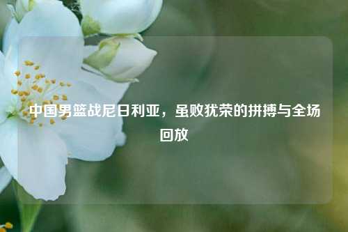 中国男篮战尼日利亚,虽败犹荣的拼搏与全场回放