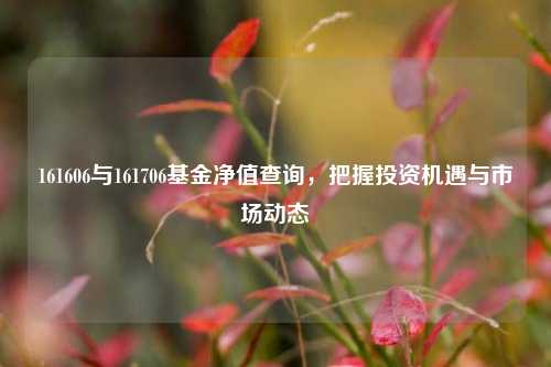 161606与161706基金净值查询,把握投资机遇与市场动态
