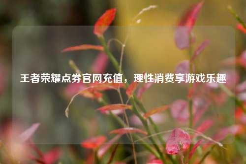 王者荣耀点券官网充值,理性消费享游戏乐趣