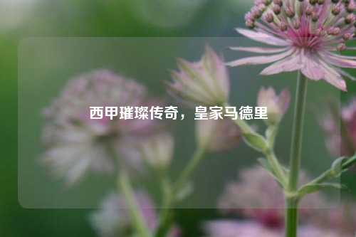 西甲璀璨传奇,皇家马德里