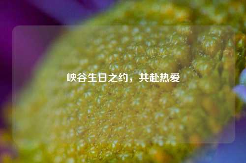 峡谷生日之约,共赴热爱