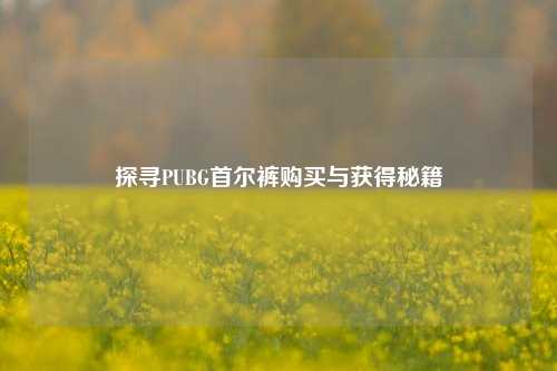 探寻PUBG首尔裤购买与获得秘籍