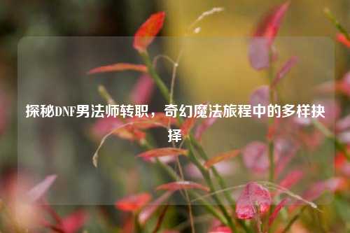 探秘DNF男法师转职,奇幻魔法旅程中的多样抉择
