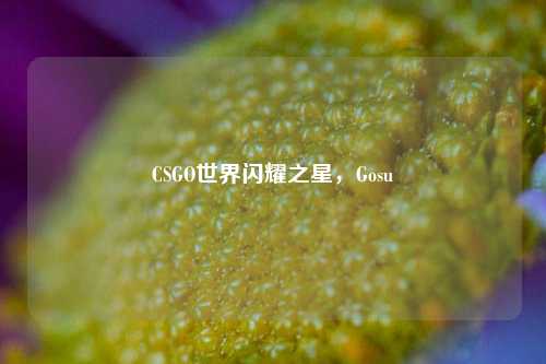 CSGO世界闪耀之星,Gosu