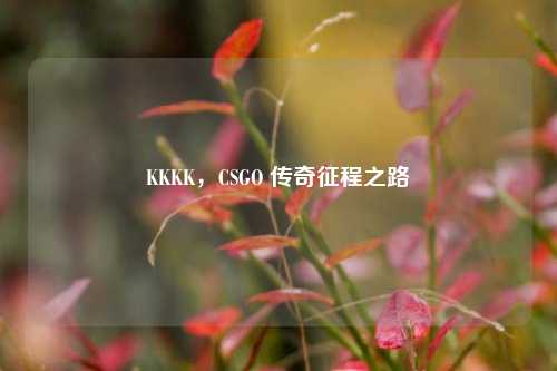 KKKK,CSGO 传奇征程之路