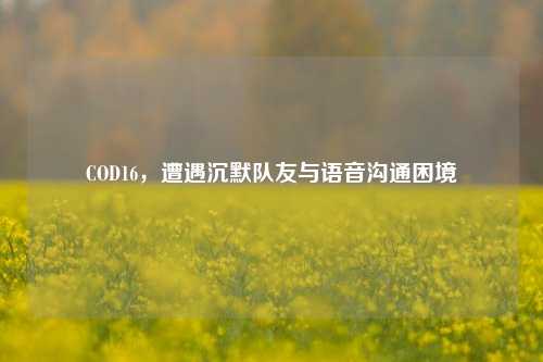 COD16,遭遇沉默队友与语音沟通困境