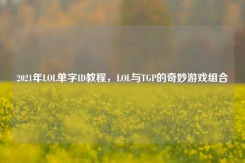 2021年LOL单字ID教程,LOL与TGP的奇妙游戏组合