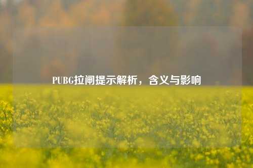 PUBG拉闸提示解析,含义与影响