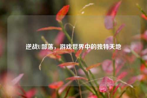 逆战U部落,游戏世界中的独特天地