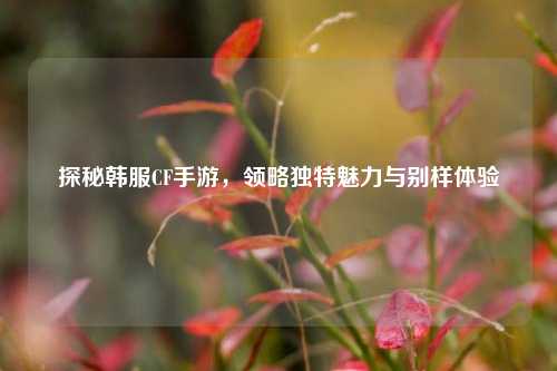 探秘韩服CF手游,领略独特魅力与别样体验