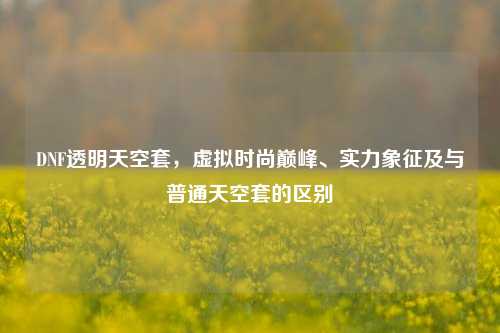 DNF透明天空套，虚拟时尚巅峰、实力象征及与普通天空套的区别