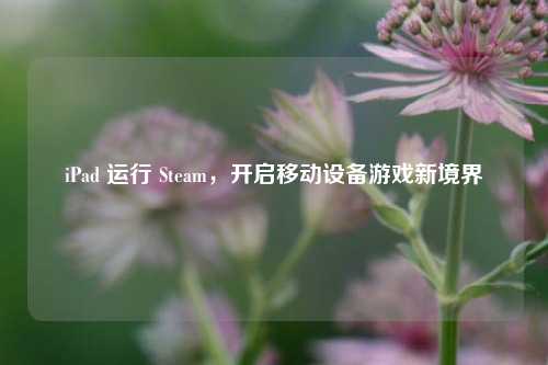iPad 运行 Steam，开启移动设备游戏新境界