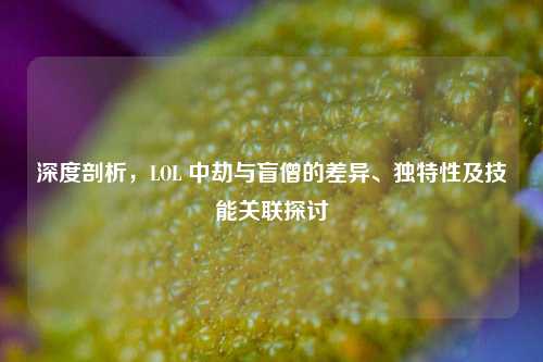 深度剖析，LOL 中劫与盲僧的差异、独特性及技能关联探讨