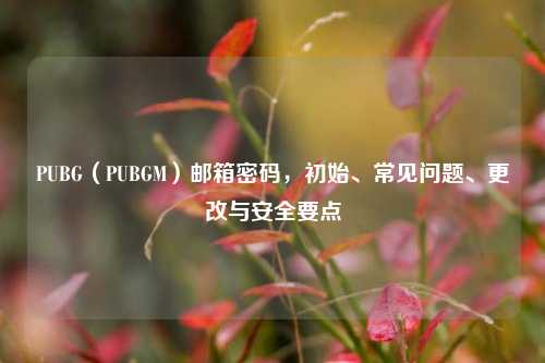PUBG（PUBGM）邮箱密码，初始、常见问题、更改与安全要点