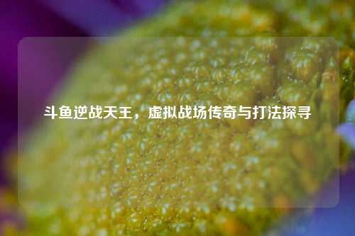 斗鱼逆战天王,虚拟战场传奇与打法探寻