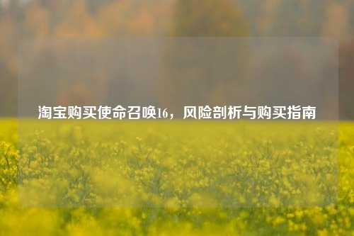 淘宝购买使命召唤16,风险剖析与购买指南