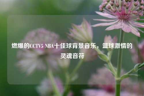 燃爆的CCTV5 NBA十佳球背景音乐，篮球激情的灵魂音符
