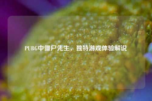 PUBG中僵尸先生,独特游戏体验解说