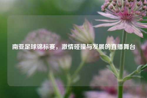 南亚足球锦标赛,激情碰撞与发展的直播舞台