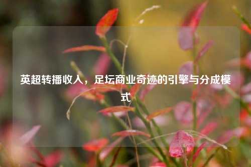 英超转播收入,足坛商业奇迹的引擎与分成模式
