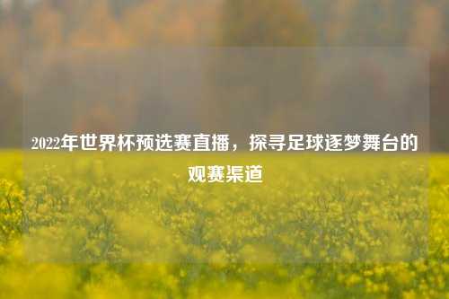 2022年世界杯预选赛直播,探寻足球逐梦舞台的观赛渠道