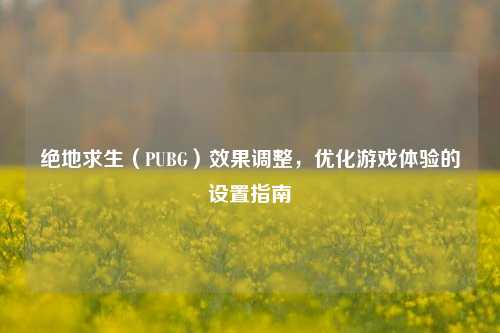 绝地求生(PUBG)效果调整,优化游戏体验的设置指南