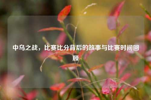 中乌之战,比赛比分背后的故事与比赛时间回顾