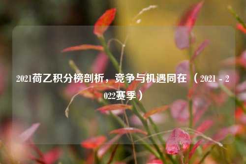 2021荷乙积分榜剖析,竞争与机遇同在 (2021 - 2022赛季)