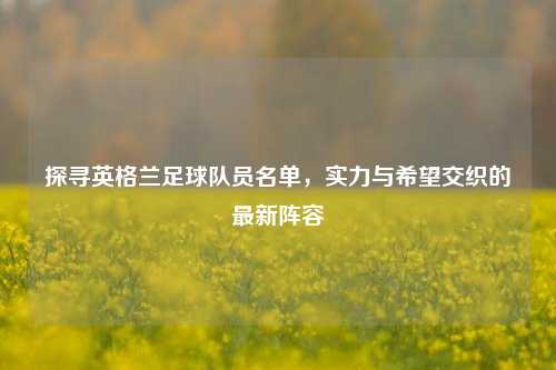 探寻英格兰足球队员名单,实力与希望交织的最新阵容